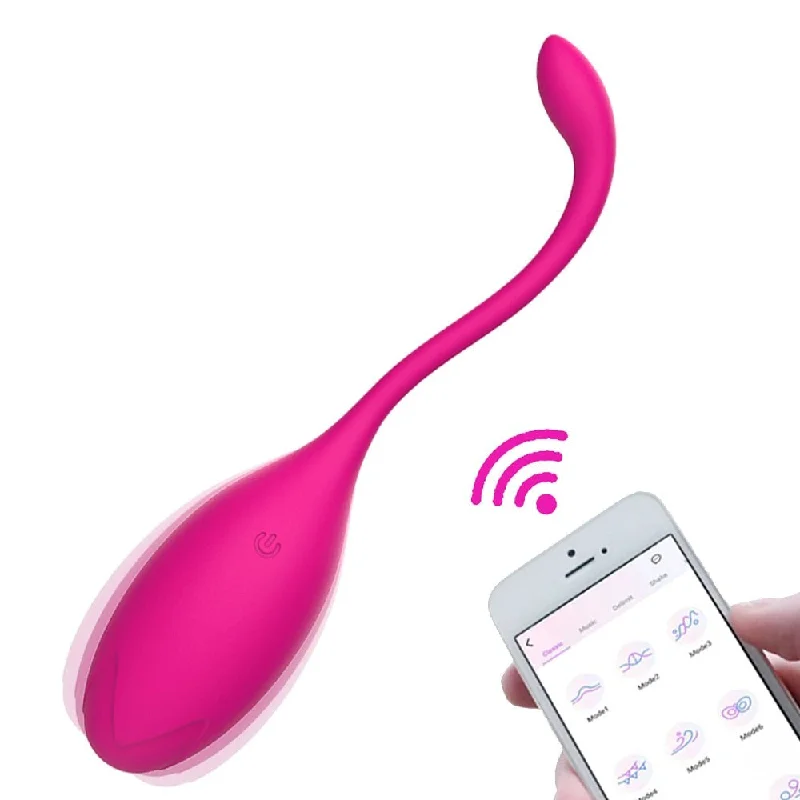 APP Vibrator Egg